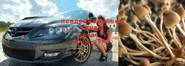 героин Алзамай