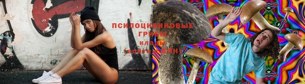 спиды Алексеевка